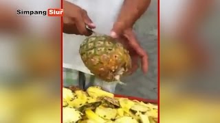 Tutorial Cara Cepat Mudah Mengupas Buah Nanas Tutorial Cara Cepat Mudah Mengupas Buah Nanas
