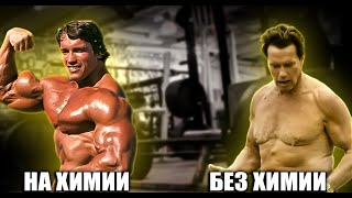 видео: ШВАРЦЕНЕГГЕР ЖЕСТКО СДУВАЛСЯ БЕЗ ХИМИИ РАЗОБЛАЧЕНИЕ картинка: ШВАРЦЕНЕГГЕР ЖЕСТКО СДУВАЛСЯ БЕЗ ХИМИИ РАЗОБЛАЧЕНИЕ