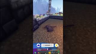 LE PETIT DRAGON ! #thomas67si #minecraft #legendaryedition #gaming #harmex #minecraftfr #humour #mod
