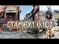 ВЛОГ ИЗ СТАМБУЛА | Встреча с подругой | Отдых в Турции