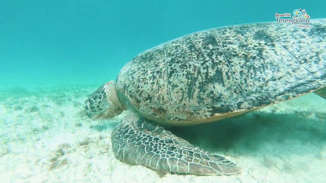 Video pemandangan Pulau Perhentian, pulau paling cantik di Malaysia