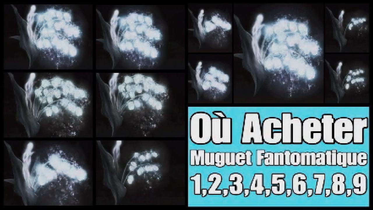 Elden Ring - Où Acheter Muguet Fantomatique 1,2,3,4,5,6,7,8,9