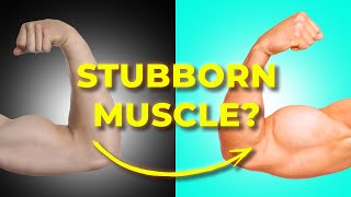 How to MAXIMIZE Muscle Growth In The Gym (FAST!)