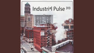 Industrial Pulse 313