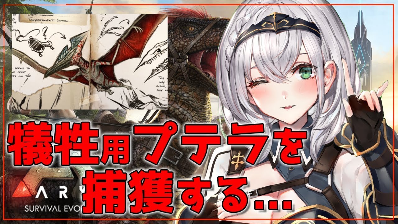 【ARK】明日ワイバーンの卵チャレンジするから犠牲用プテラ捕まえる...！【白銀ノエル/ホロライブ】