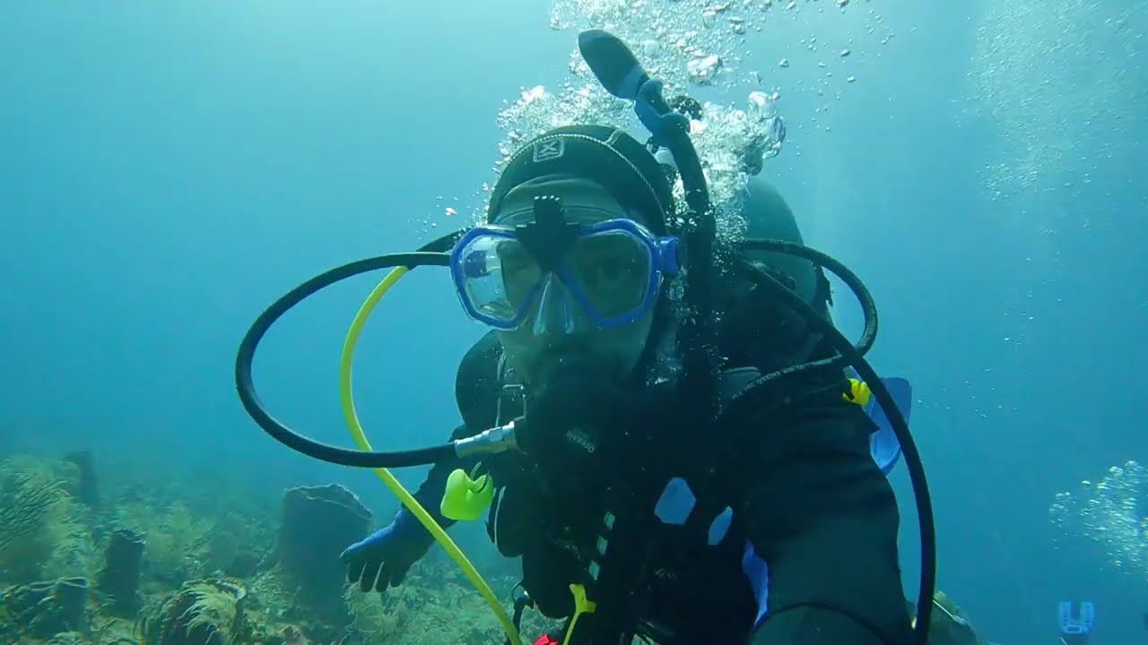 Throwback Thursday | Incredible Marine Life & Finding Peace Underwater 🌊🐠