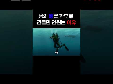 남의 배를 함부로 건들면 안되는 이유#shorts