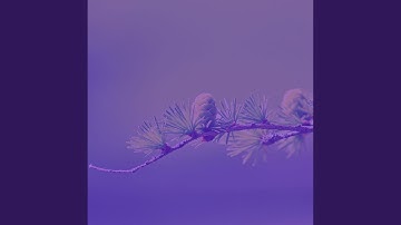 Scintillating Backdrops for Deep Relaxation