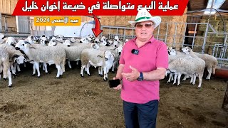 عملية بيع أضحية العيد لسنة 2024 متواصلة في ضيعة إخوان خليل