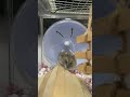 毛づくろいをするハムスター🐹 #ハムスター #hamster #癒し #かわいい #pets #cute #4ヶ月のハムスター
