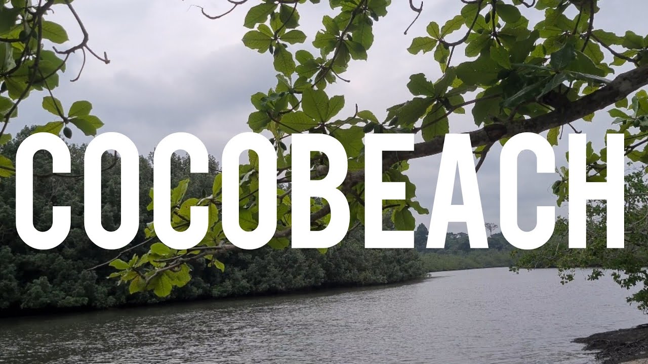 Gabon 🇬🇦: Cocobeach, il y a quoi là dedans ? Découvertes.