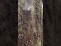 Clean Barnacles