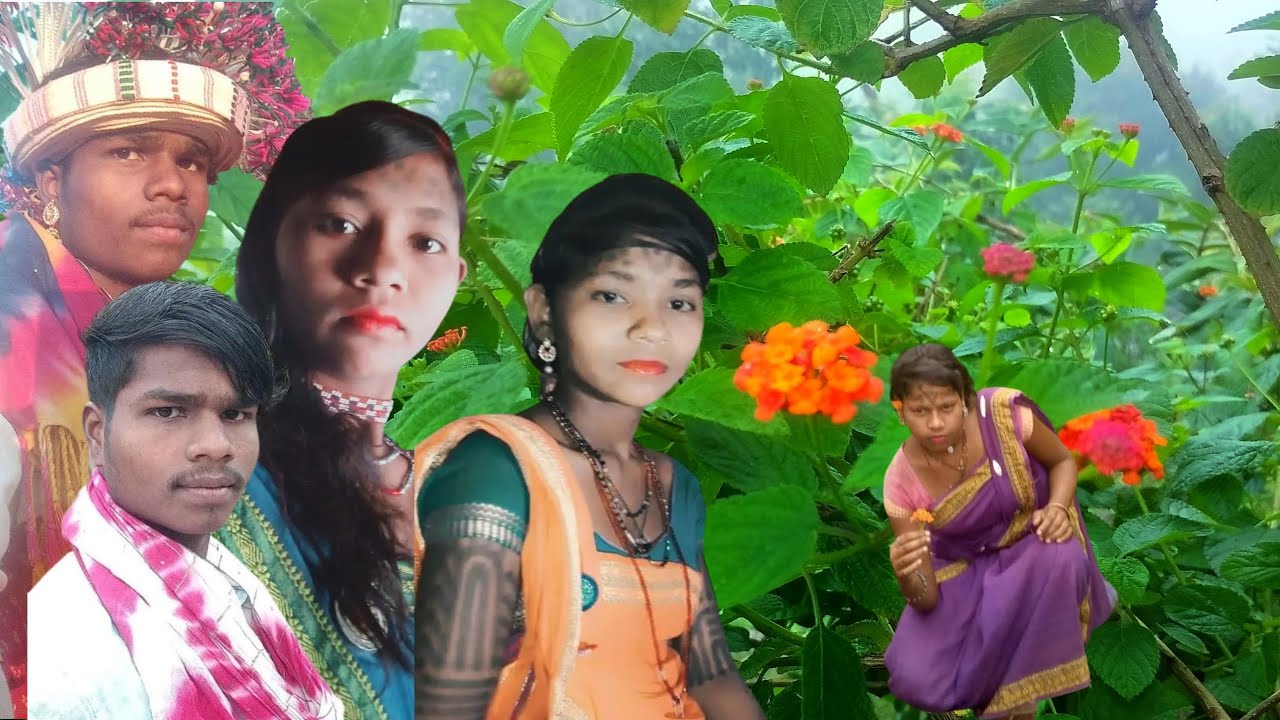 आदिवासी बैगा वीडियो शादी डांस || आदिवासी बैगा करमा || आदिवासी बैगा करमा गीत |आदिवासी करमा गीत विडियो