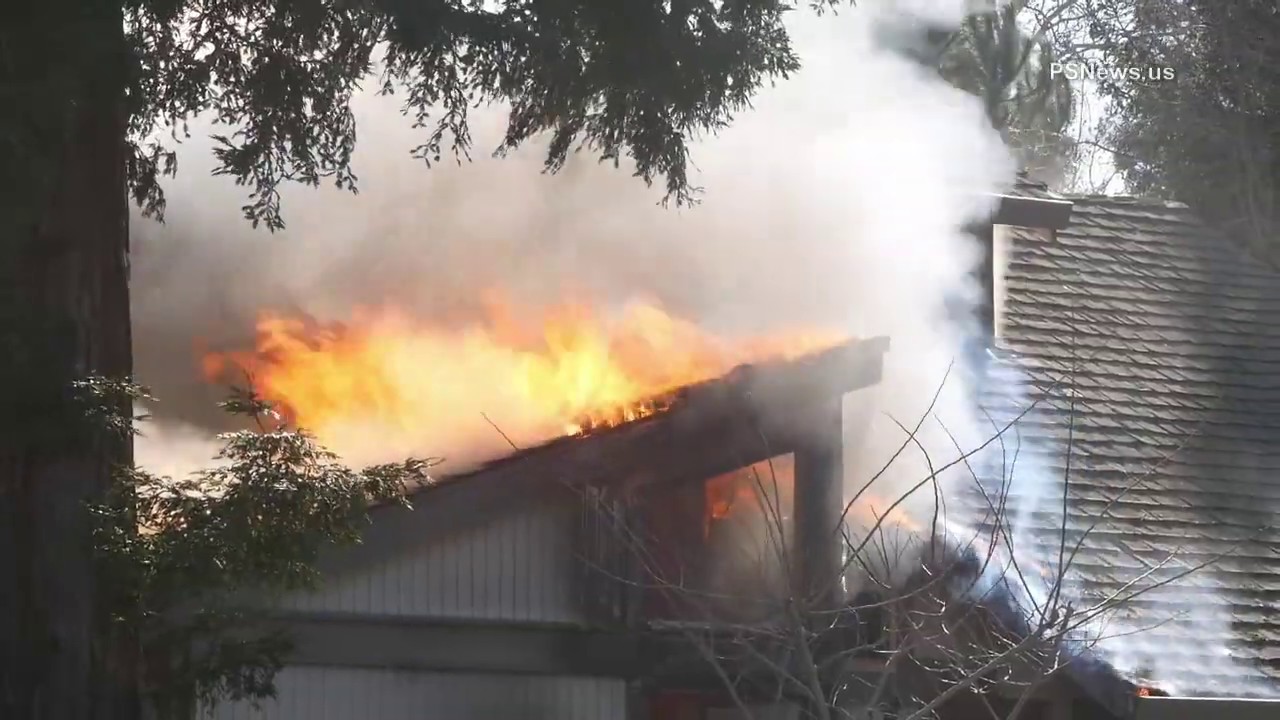 Five dogs rescued from house fire in Fair Oaks, February 24, 2020