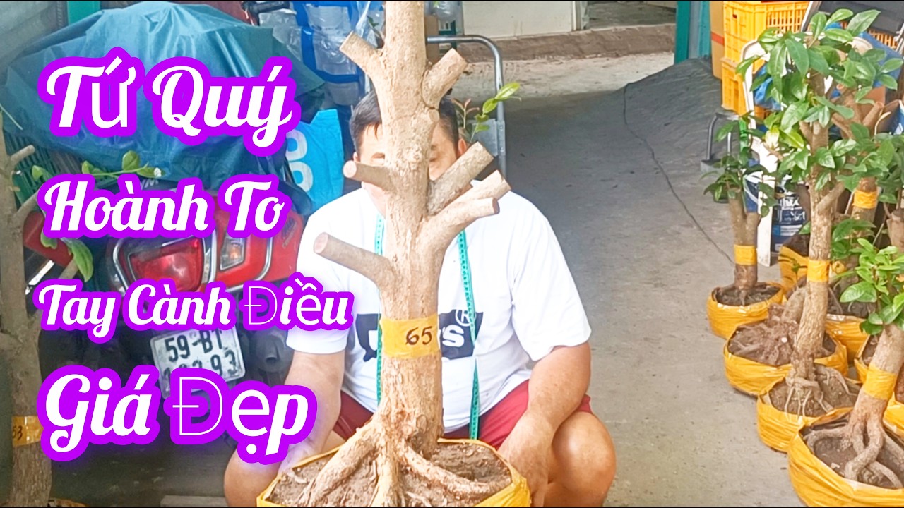 Chú Ba Sài Gòn ☎️0938700985 Phôi Mai Đẹp Dáng Đẹp Ngày 4/3 Giao Lưu Giá Tốt