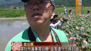 1040701 紅樹林有線電視 賞牡丹蓮兼賞白鶴 遊客遵守不再封鎖