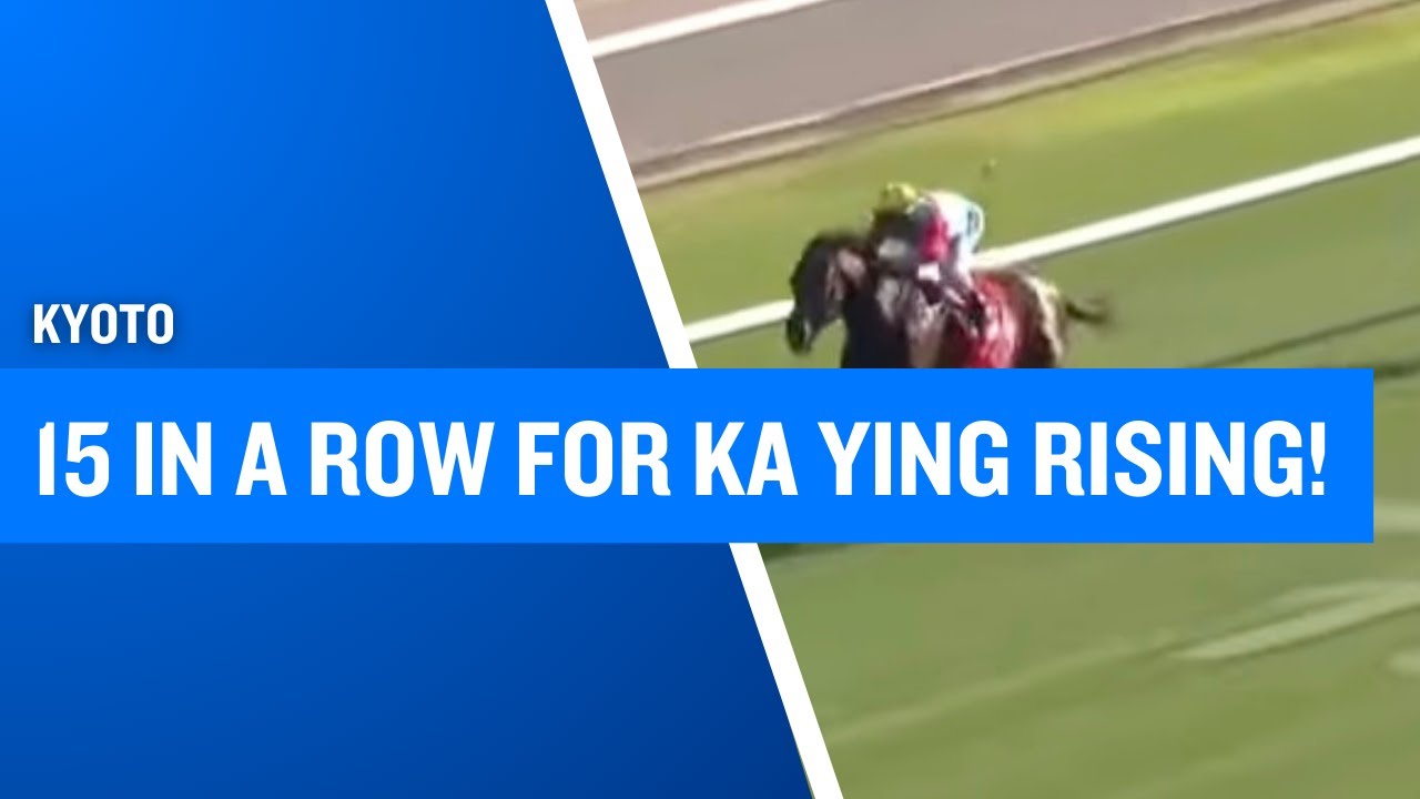 KA YING RISING カーインライジングクッション Gift at Races. Champion Horse Sitting Plush - Ka Ying Rising