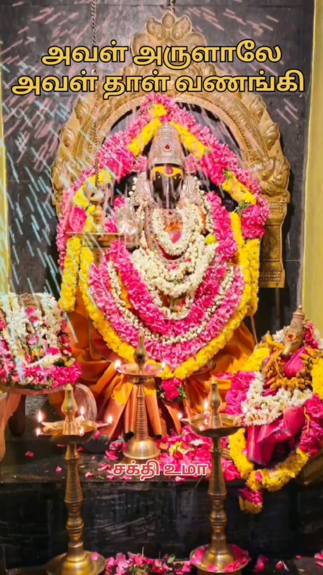 ✨மேல்மருவத்தூர் ஆதிபராசக்தி🌟 - ShareChat