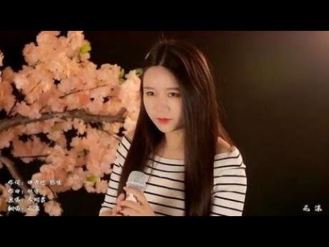 一首经典老歌翻唱《雨蝶》，让我们重温那个守着电视看剧的年代！