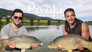 CATCHING MONSTERS │Carp fishing in Pivola