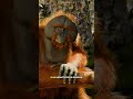 Cara Orang Utan Mengobati Dirinya Jika Terluka #faktaunik #animation
