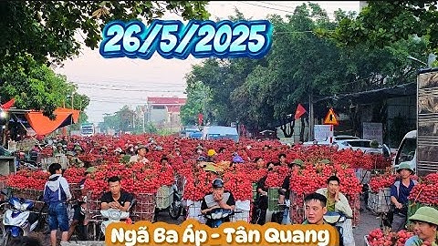 Giá Vải Thiều Lục Ngạn Bán Sớm Giá Bao nhiêu I NÚI ĐỒI LỤC NGẠN