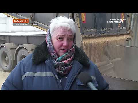 Брянская область прочно заняла место одного из успешных сельскохозяйственных регионов
