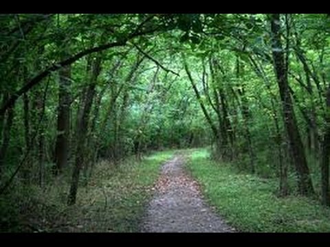 Hiking with my bug out bag / survival bag- My first field test - YouTube