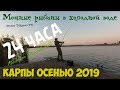 Осенняя ловля карпа в ледяной воде | 24 часа отличного клева | один на пруду | Водоём Каневской | HD