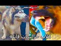 سوق الجمعة وكلاب حراسة من نار