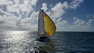 Rejoining the world rally - Olively from Martinique to Bonaire (Sailing Greatcircle ep.361)
