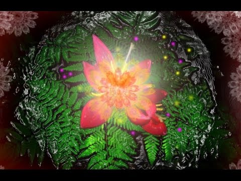 Папоротник Народные приметы