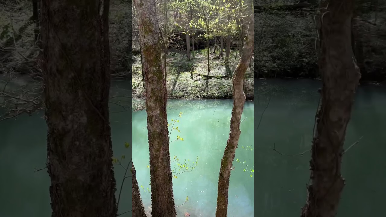 What A Spring Fed Pond Looks Like! 
