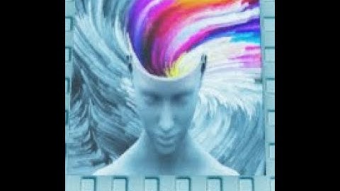 Not Even a Traps | The Neat Project | 2022 edition