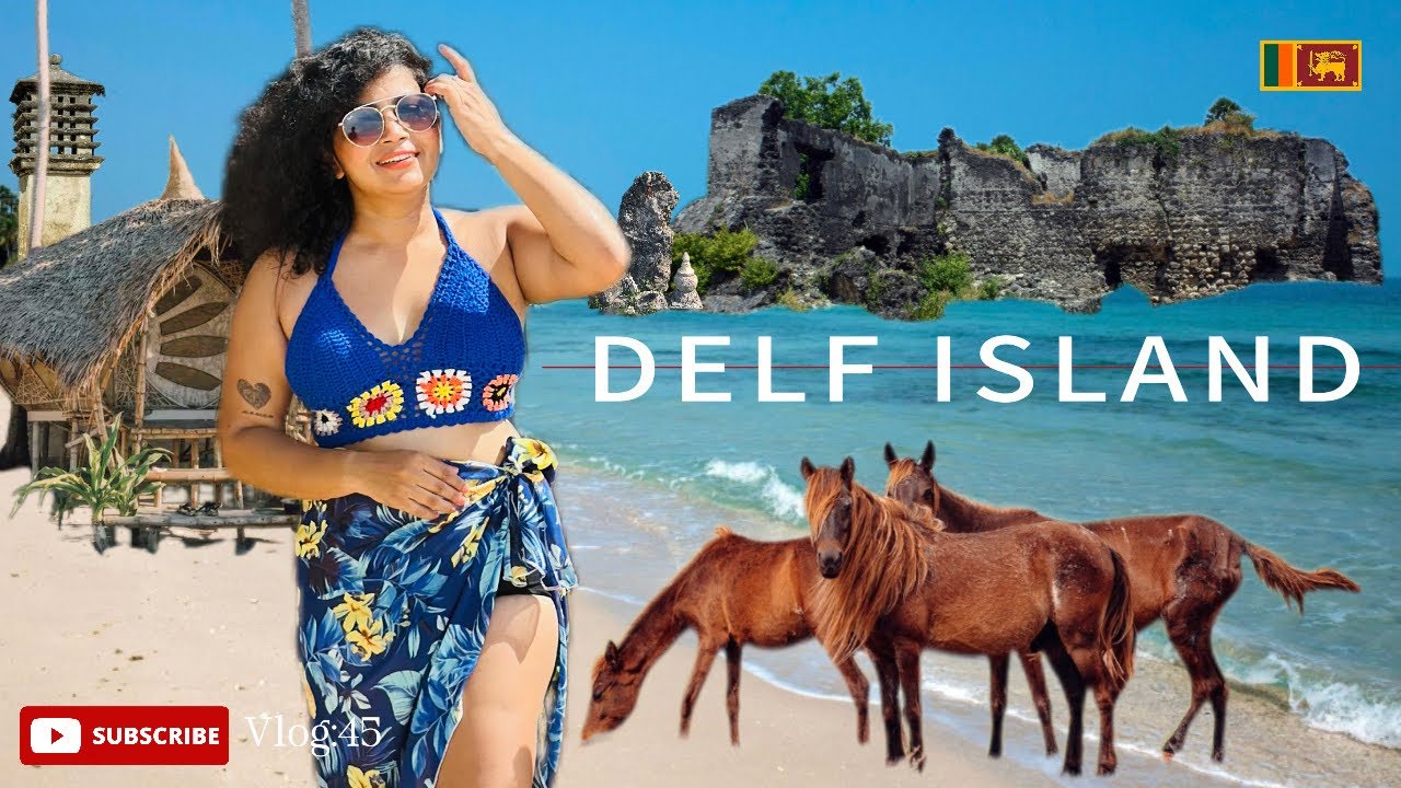 Delf island Sri Lanka | ලංකාවෙ ලස්සන Beach එක | බෝට්ටු සංචාරයක් | Vlog ...