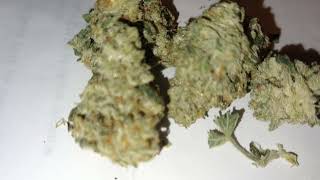 Cannabis Review/DowntownCannabisCo-IceCreamCake