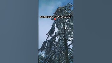#راحة_نفسية #تلاوة_هادئة #قرآن #قران_كريم #اكسبلور #إسلاميات #لايك #المصحف #دعوة #حالات_واتس