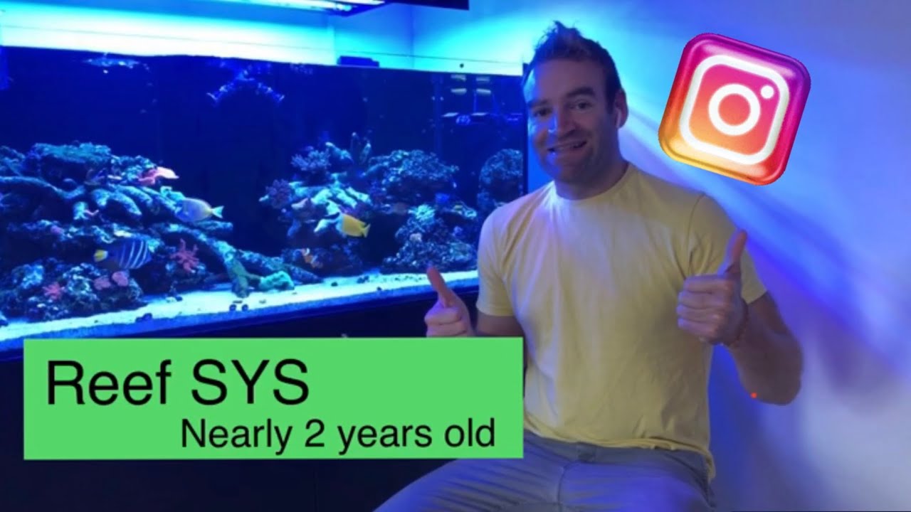 Reef Sys Update - YouTube