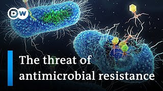 5 million annual deaths: Why antimicrobial resistance is a global public health threat | DW News