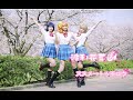 【Love Live!】穂乃果(Honoka)&amp;ことり(Kotori)&amp;海未(Umi) - ススメ→トゥモロウ(Susume→Tomorrow) 前进→Tomorrow 樱园的不良少女 Cosplay