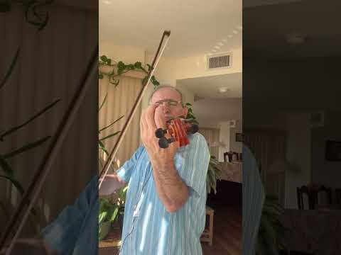 به زندان صبا آواز همایون