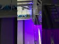 Dust-proof vision prints 5 unique cards! 👁️ Watch 6 heads & 12 colors work.