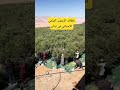 قطاف الزيتون القزمي الإسباني في لبنان 