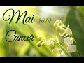  cancer  finance pro sant amour et ce qui vient  vous  mai 2024