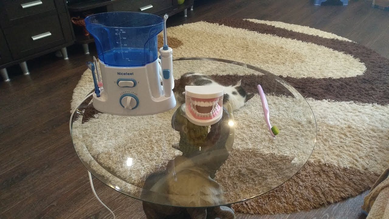 Как правильно чистить зубы. Советы и секреты от стоматолога.