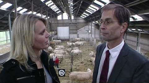 Skal - LifestyleXperience.tv - Aflevering 7, 23 mei 2010, Item Skal