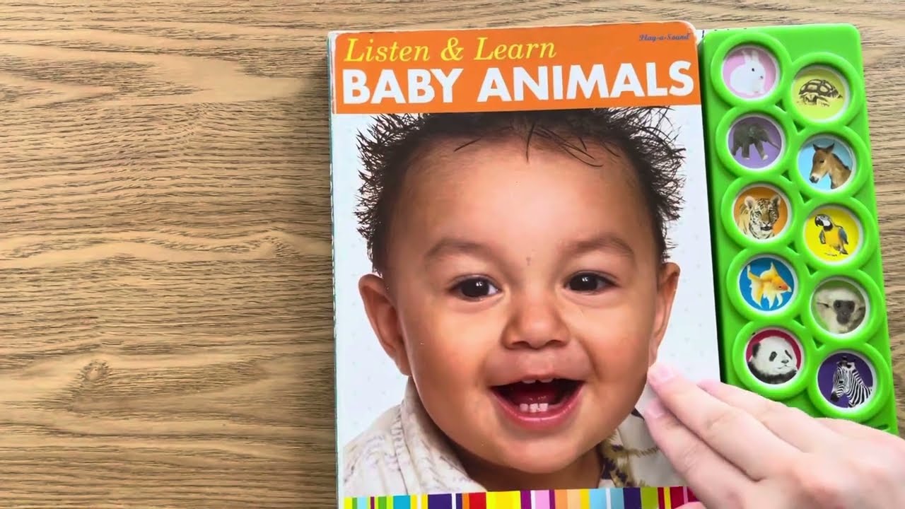 Listen & Learn Baby Animals Sound Book