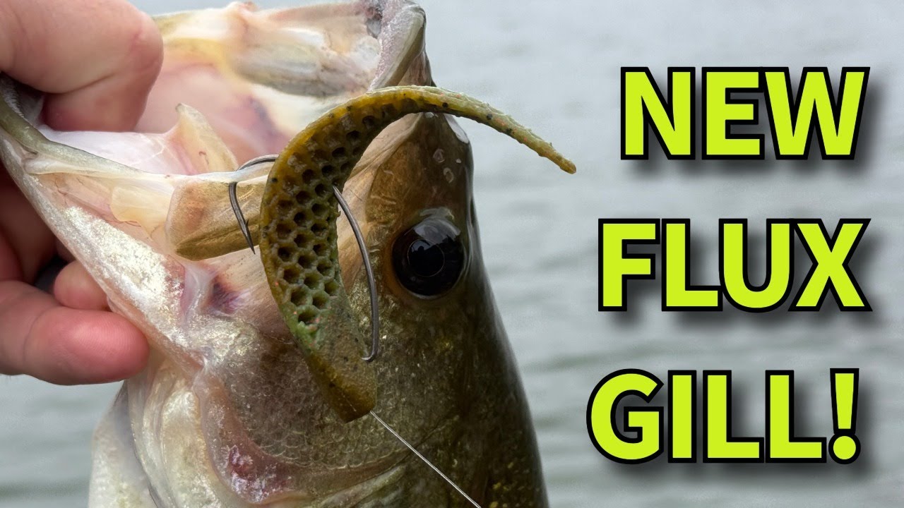 NEW Berkley Flux Gill Review | Does It Live Up to the Hype? NEW Berkley Flux Gill Review | Does It Live Up to the Hype?
