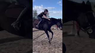 Let Niet Op Mijn Houding Aubma Veel Liefde Naar Barbie Ze Deed Mega Hard Haar Best Vandaag