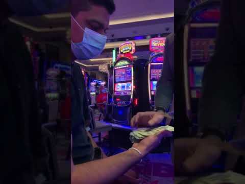 slots cash,live online casino,best online slots real money